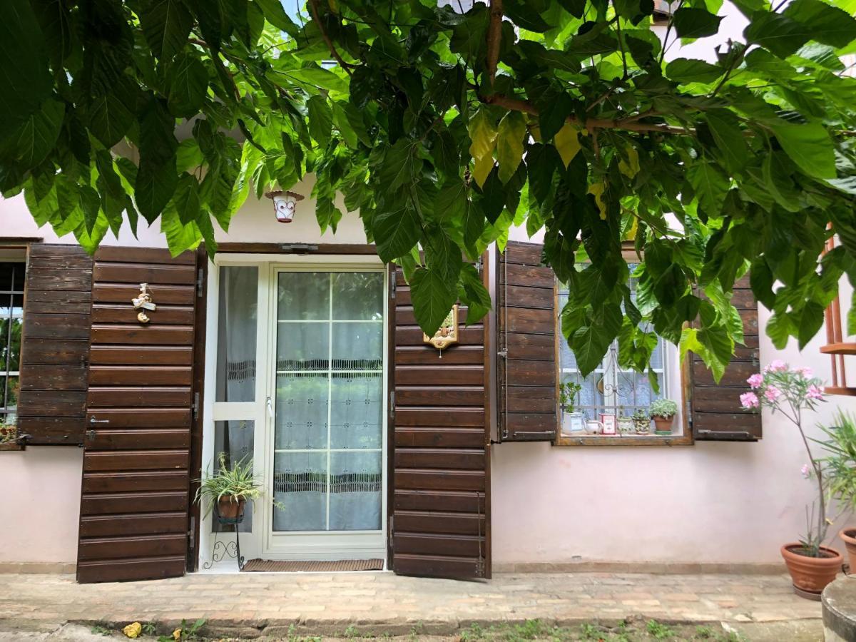 La Casa Nel Bosco Bed & Breakfast Gorizia Exterior photo